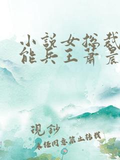 小说女总裁的全能兵王萧晨全文免费