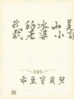 我的冰山美女总裁老婆 小说