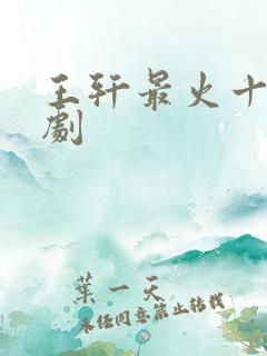 王轩最火十部短剧