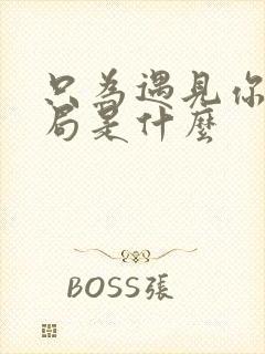 只为遇见你大结局是什么