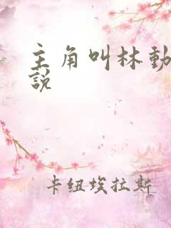 主角叫林动的小说