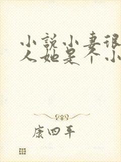 小说小妻很甜夫人她是个小作精