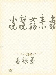 小说女主名叫林晚晚的小说