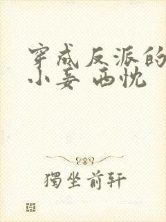 穿成反派的恶毒小妾 西忱