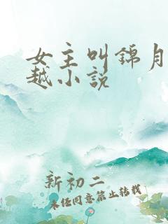 女主叫锦月的穿越小说