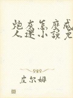 炮灰怎么成了万人迷小说免费阅读