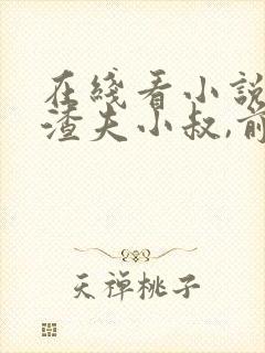 在线看小说再婚渣夫小叔,前任发了疯