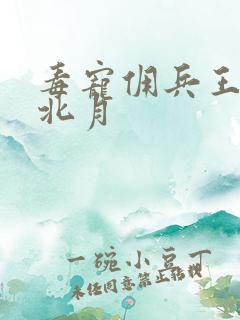 毒宠佣兵王妃君北月