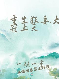 重生狂妻,大佬宠上天