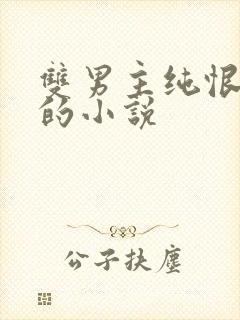 双男主纯恨囚禁的小说