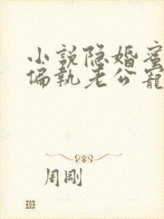 小说隐婚蜜爱:偏执老公宠上瘾在线阅读