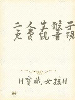 二人生猴子全程免费观看视频