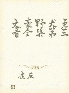 文豪野犬免费观看全集第三季