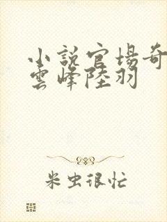 小说官场奇才刘云峰陆羽