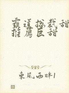 霸道总裁甜宠文推荐巨甜