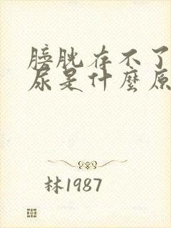 膀胱存不了太多尿是什么原因