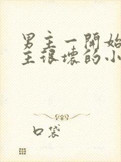 男主一开始对女主很坏的小说