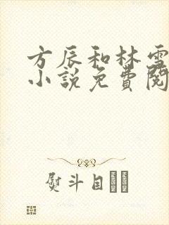 方辰和林雪妍的小说免费阅读无弹窗笔趣阁