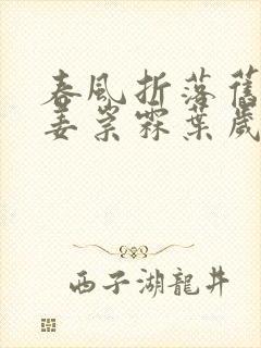 春风折落旧蔷薇姜崇霖叶岁宁全本阅读