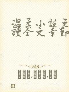 温柔小说免费阅读全文章节