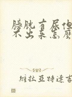 膀胱有尿但是尿不出来怎么办