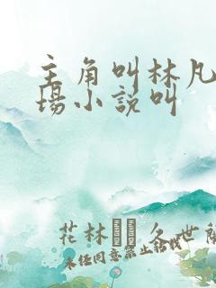 主角叫林凡的官场小说叫