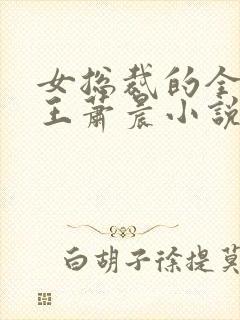 女总裁的全能兵王萧晨小说正版