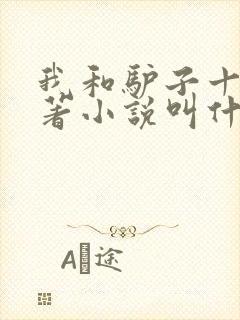 我和驴子十年原著小说叫什么