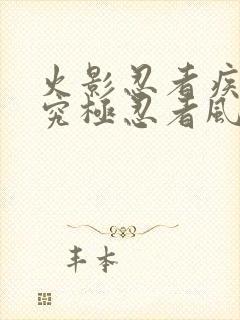 火影忍者疾风传究极忍者风暴2