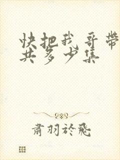 快把我哥带走一共多少集