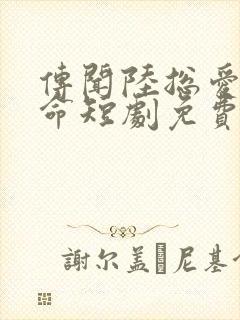 传闻陆总爱我如命短剧免费观看全集