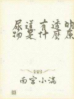 尿道有透明分泌物是什么原因