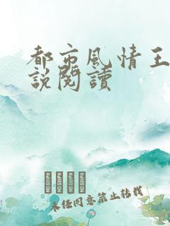 都市风情王枫小说阅读