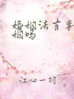 婚姻法有事实婚姻吗