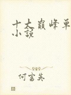 十大巅峰单女主小说