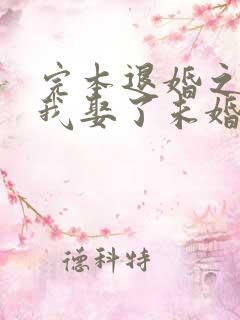 完本退婚之后,我娶了未婚妻祖宗