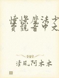 憧憬魔法少女免费观看中文版全集