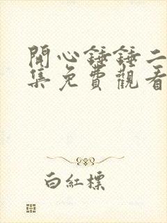 开心锤锤二十一集免费观看全集