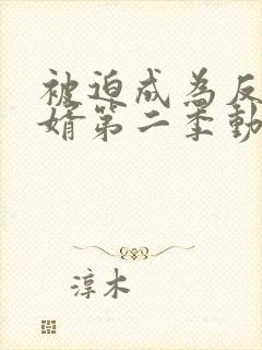 被迫成为反派赘婿第二季动漫全集免费观看