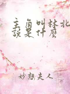 主角叫林北的小说是什么