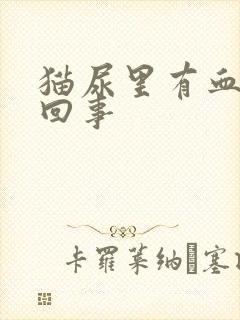 猫尿里有血怎么回事