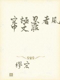 究极忍者风暴4中文版