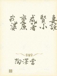 我变成贤妻的老婆原著小说叫什么