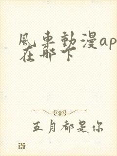 风车动漫app在哪下