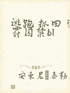 逃跑 抓回 惩罚囚禁bl