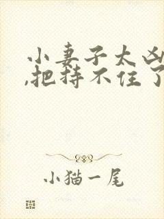 小妻子太凶陆爷,把持不住了免费阅读