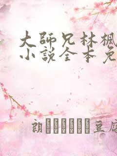 大师兄林枫穿越小说全本免费阅读