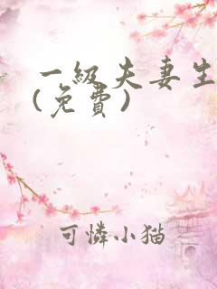 一级夫妻生活片(免费)