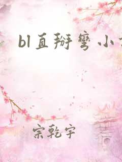 bl直掰弯小说