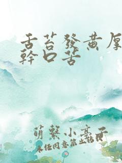 舌苔发黄厚腻口干口苦